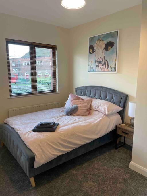 Close To Belfast City Centre.Modern Opened Planned Ngoại thất bức ảnh
